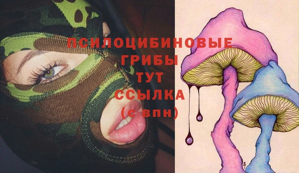 MDMA Premium VHQ Ладушкин